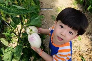 娱乐吃瓜酱关于童年,娱乐吃瓜酱带你重温那些年